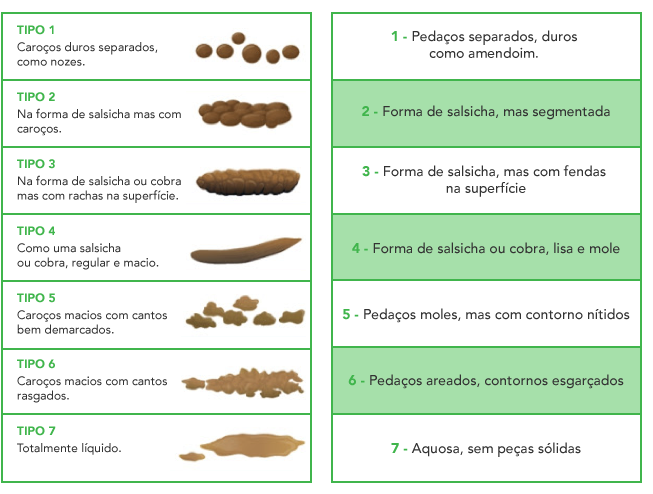 escala_fecal_Bristol